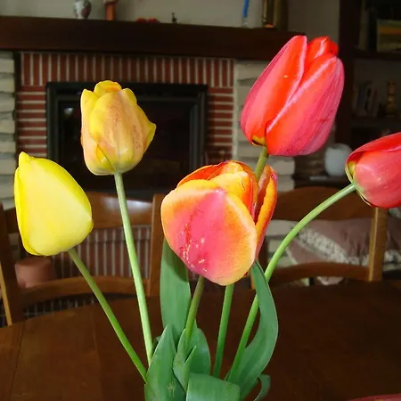 克莱尔之家住宿加早餐旅馆 住宿加早餐酒店 3*