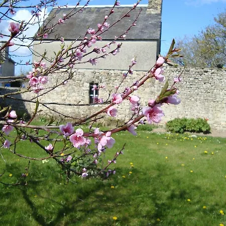 לינה וארוחת בוקר La Maison Claire