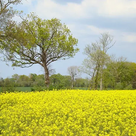 La Maison Claire 3* Longueville (Calvados)