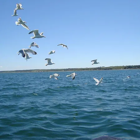 La Maison Claire Alojamento de Acomodação e Pequeno-almoço