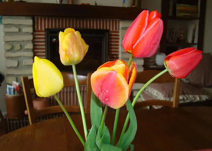 La Maison Claire Bed & Breakfast 3*