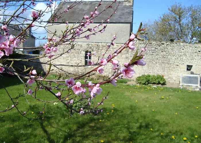 Bed & Breakfast La Maison Claire