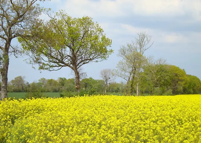 La Maison Claire 3* Longueville (Calvados)