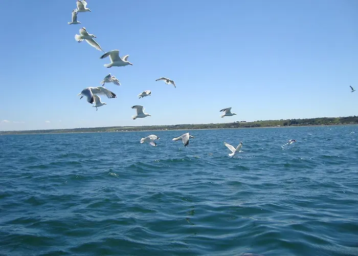 La Maison Claire Bed & Breakfast