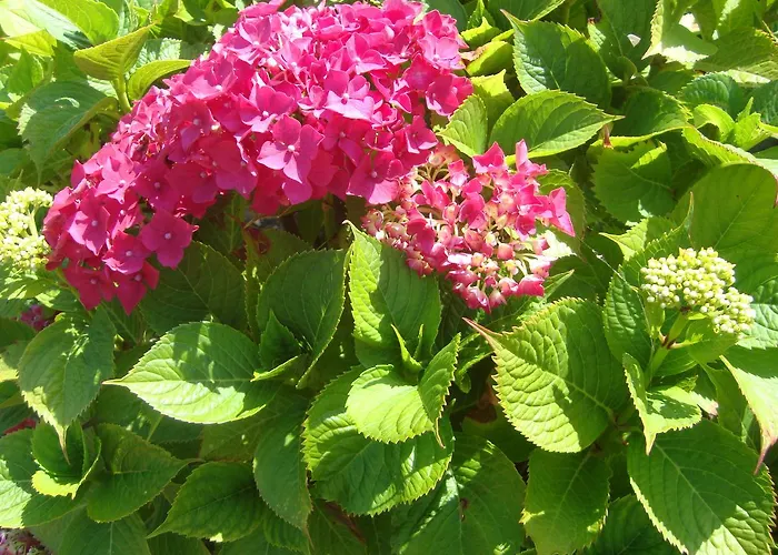 Bed & Breakfast La Maison Claire 3*